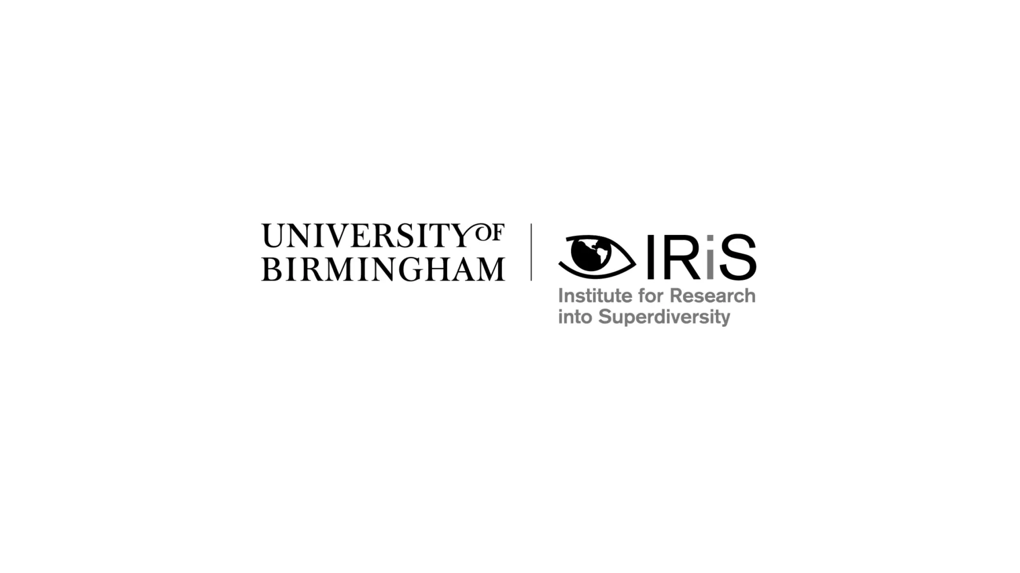 Institute for Research into Superdiversity at the University of Birmingham 1200 675px