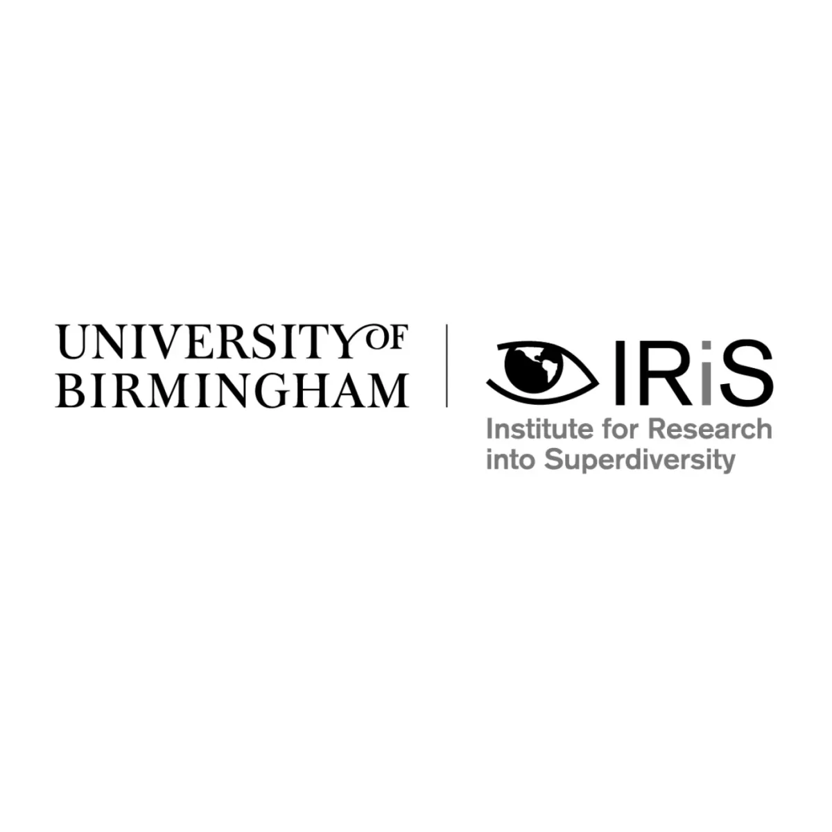 Institute for Research into Superdiversity at the University of Birmingham 1200 675px