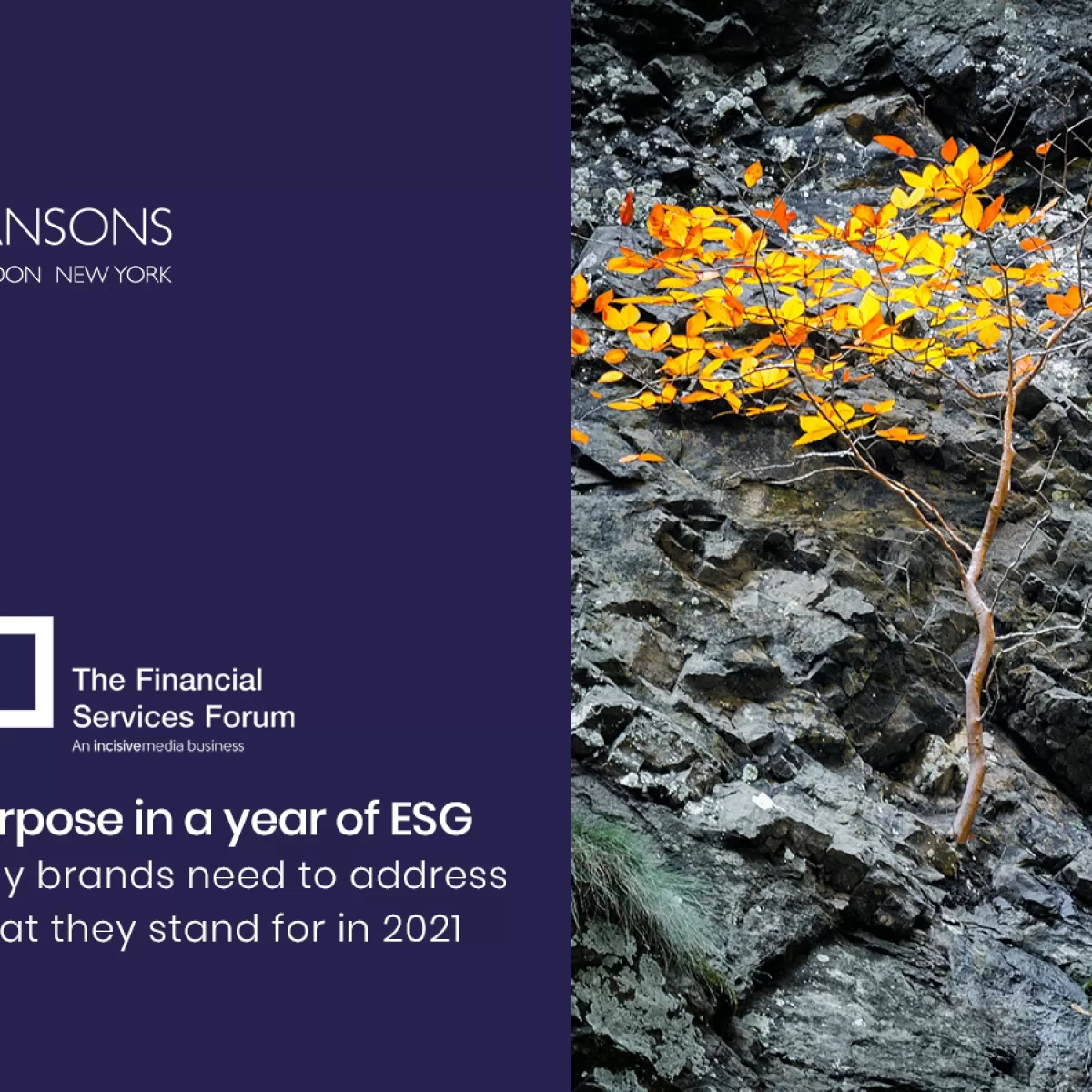 Purpose in a year of ESG Event by FSF Forum and Lansons