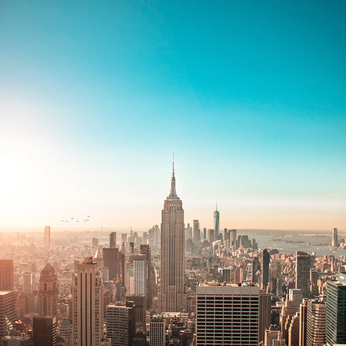 New York skyline-Lansons New York