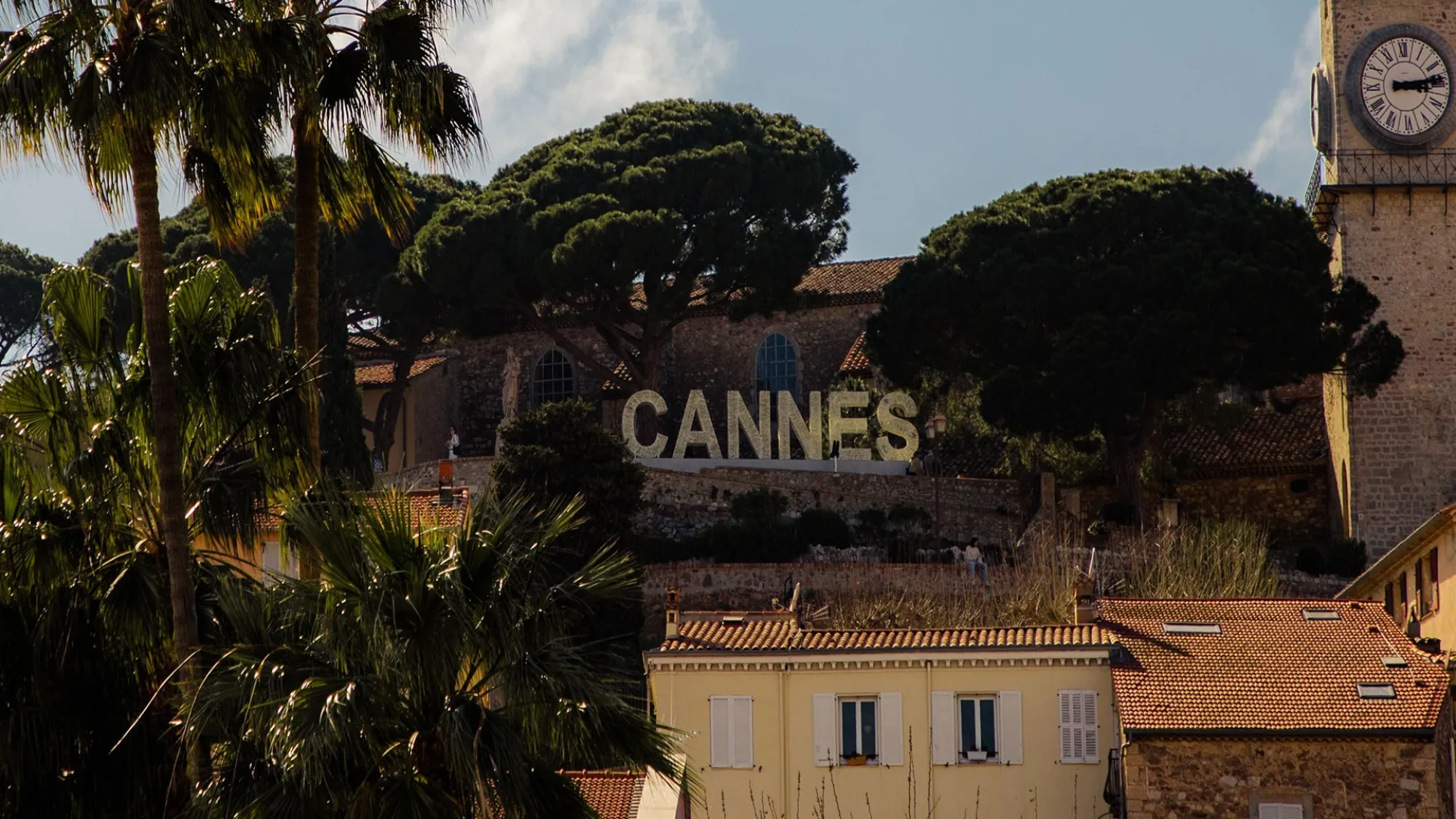 Cannes 2023 David Wheldon