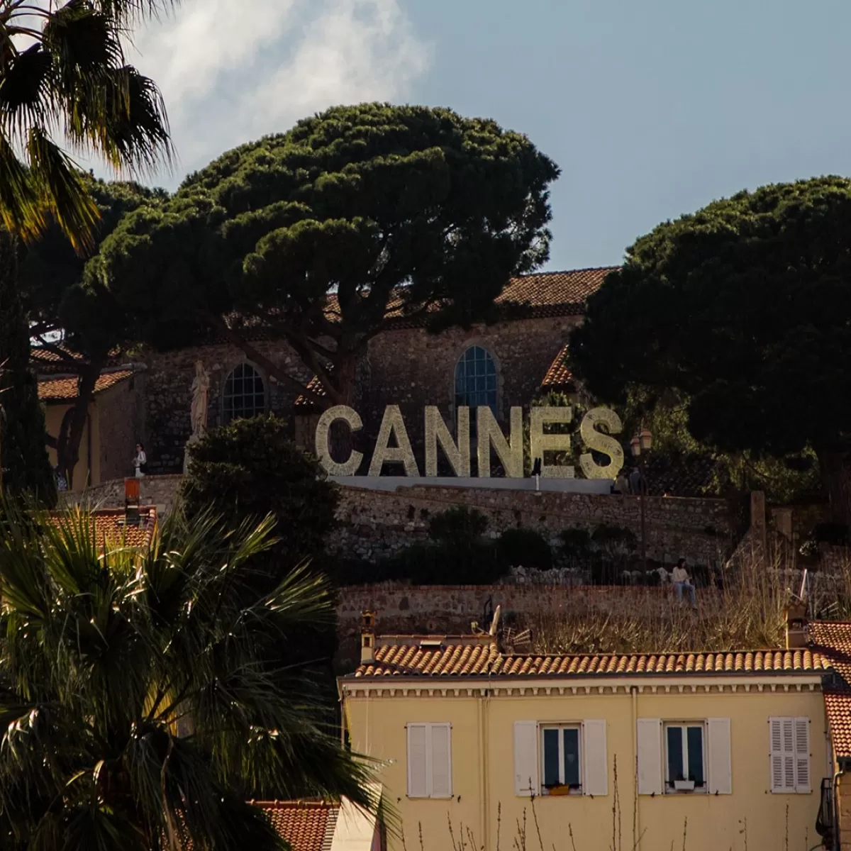 Cannes 2023 David Wheldon